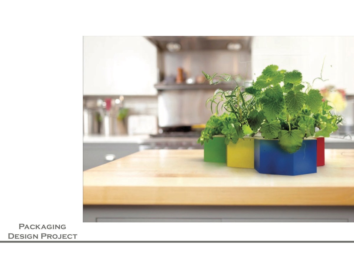 Herbal Packaging Project