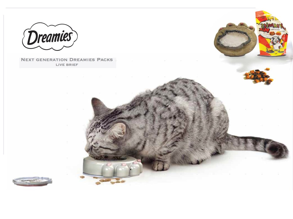 Dreamies Packaging Project